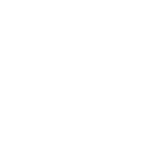 NewAns